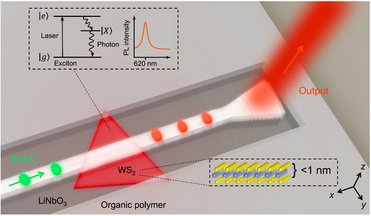 Monolayer WS2 integrated with a BIC photonic waveguide
