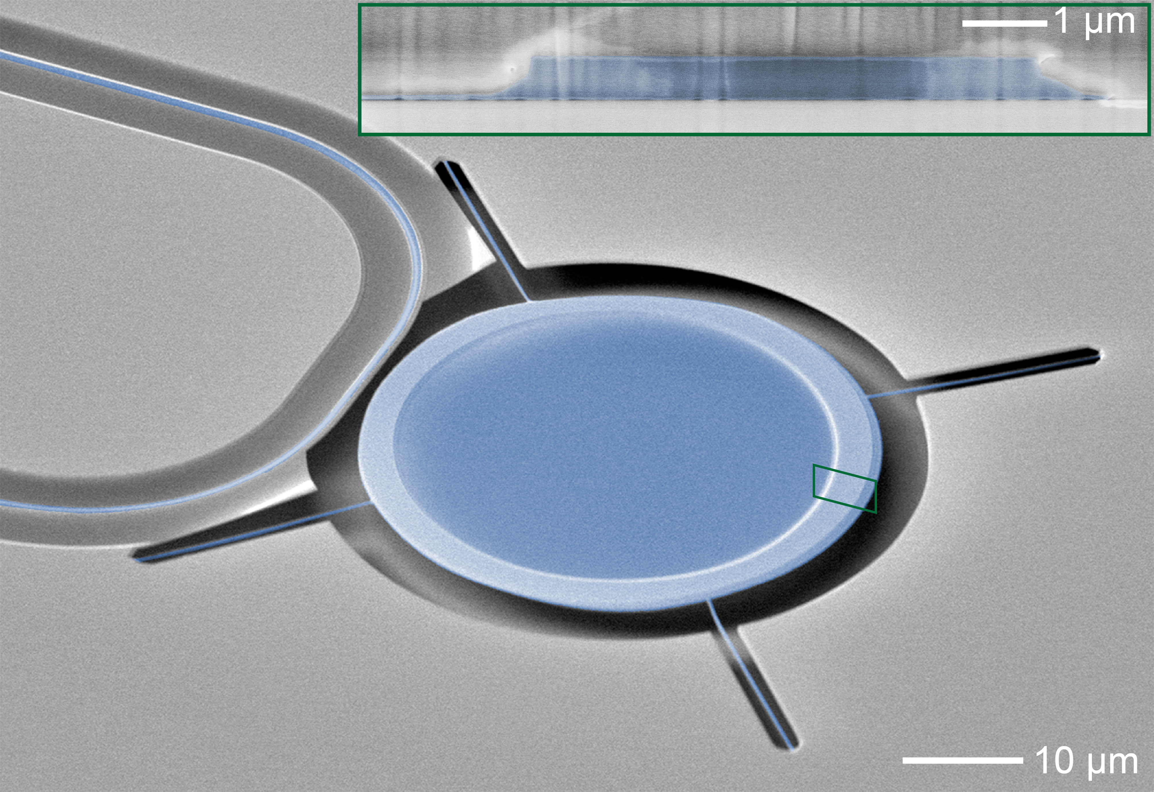 Thin-film lithium niobate optomechanical resonator